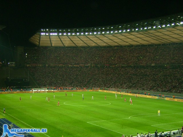 dfb_pokalfinale_260507_058.JPG