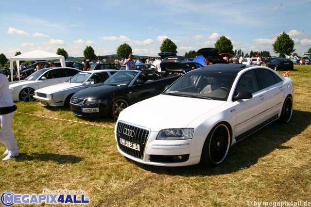 vw_audi_treffen_gefrees_010609_031.JPG