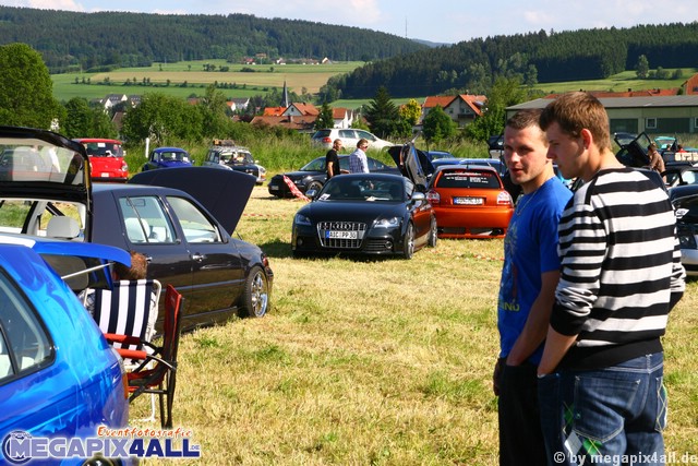 vw_audi_treffen_gefrees_010609_057.JPG